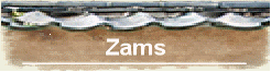 Zams